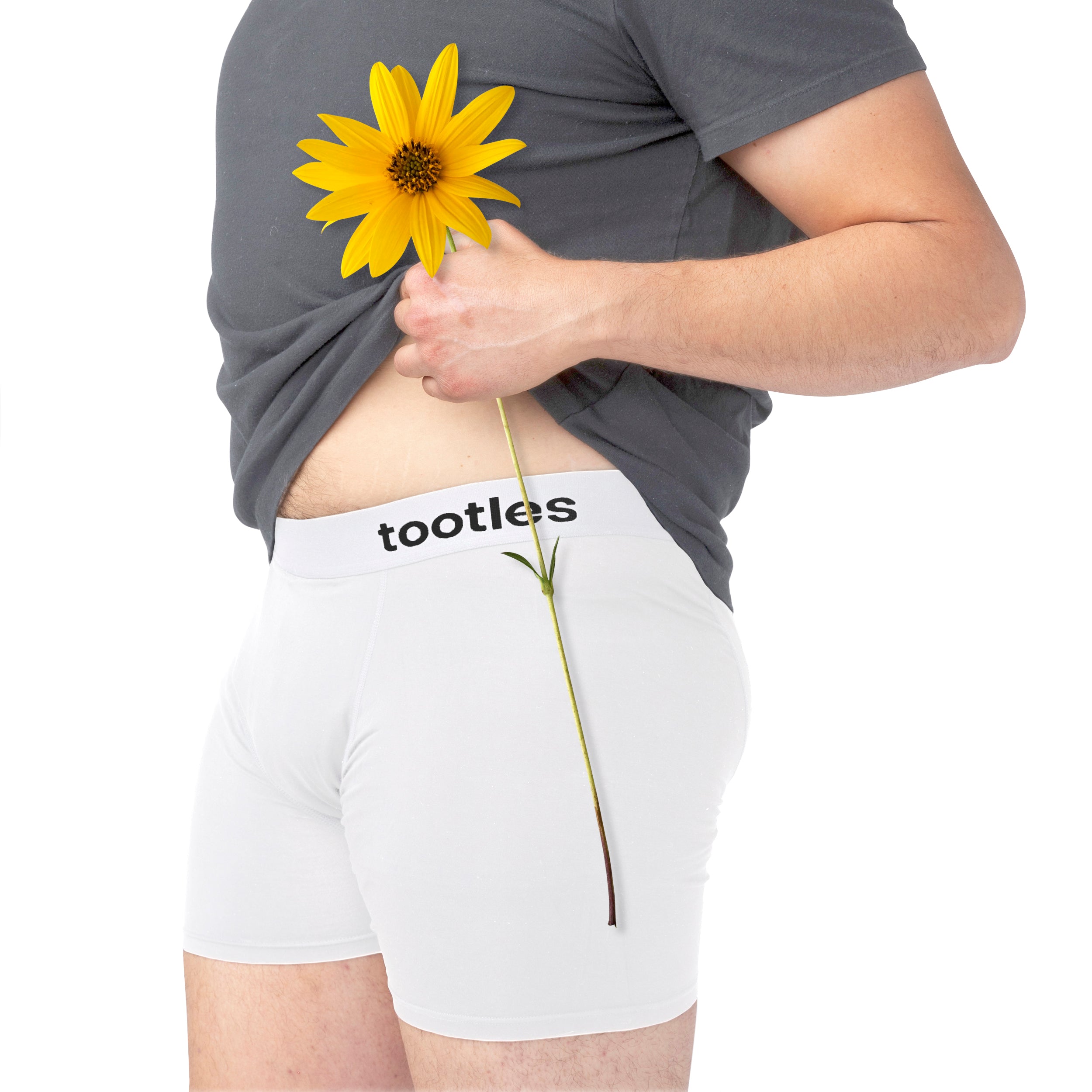 TOOTLES-Mens Fart Filtering Charcoal Underwear-Flatulence Neutralizing-Deodorizing  & Blocking-Boxer Briefs, White, 3X-Large : : Clothing, Shoes &  Accessories