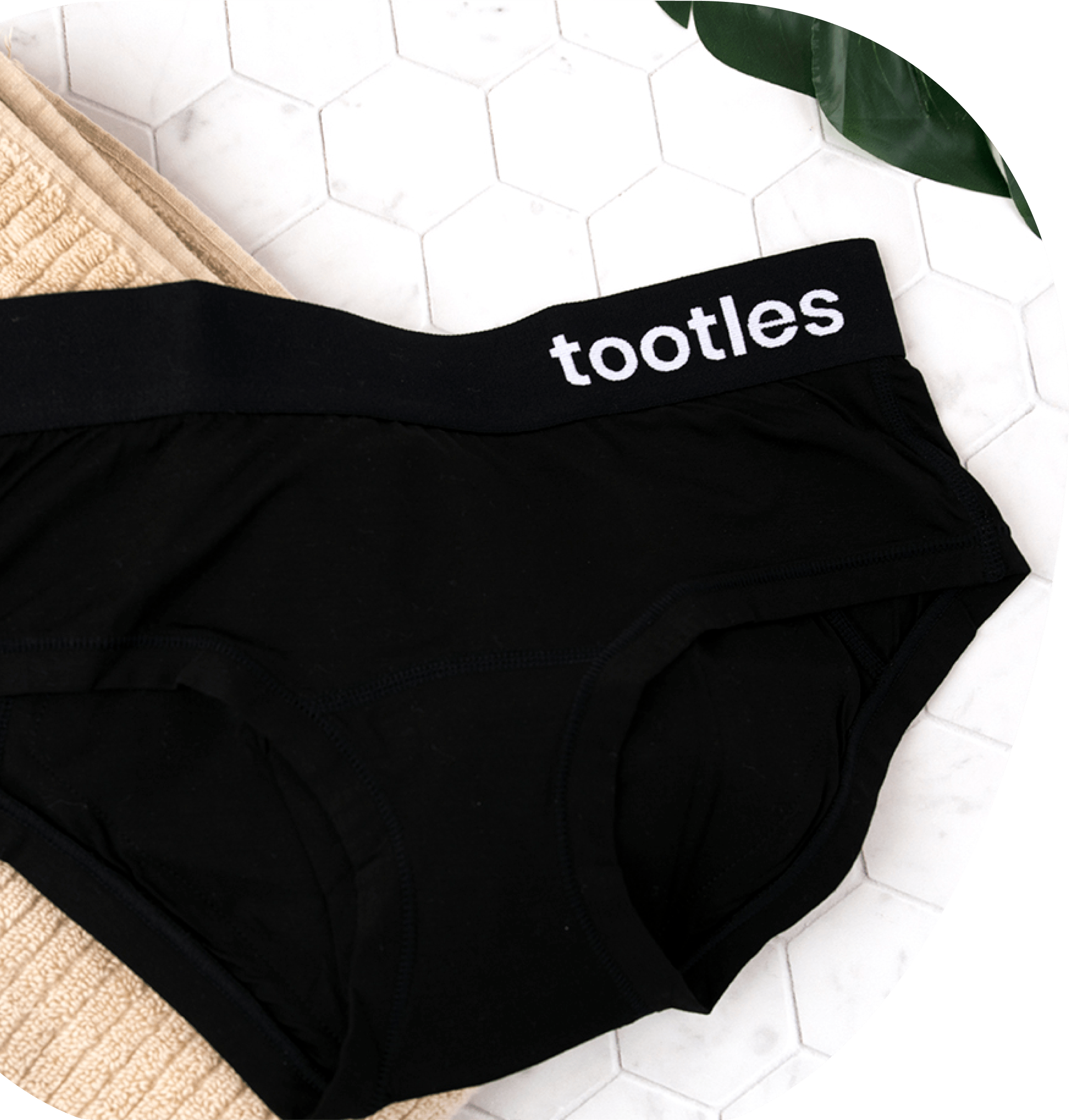 Buy Shreddies Women's Flatulence Filtering Brief Underwear (Black_ Medium)  at
